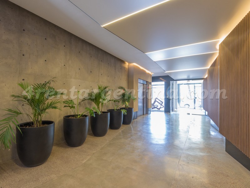 Pavon and 24 de Noviembre