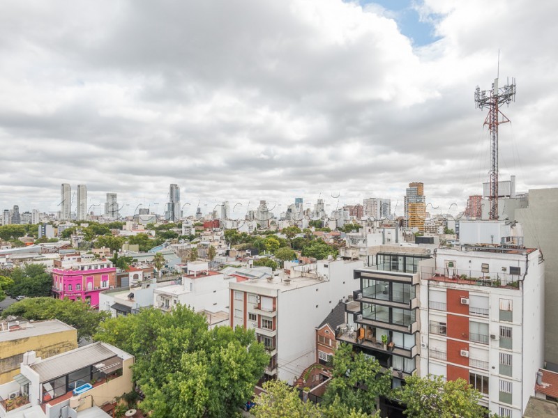 Scalabrini Ortiz and El Salvador IV