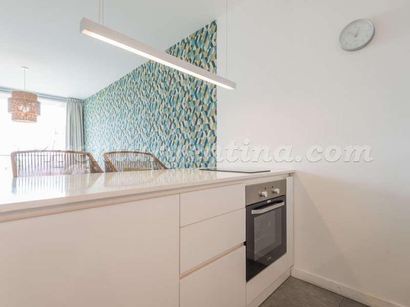 Darregueyra e Guemes III