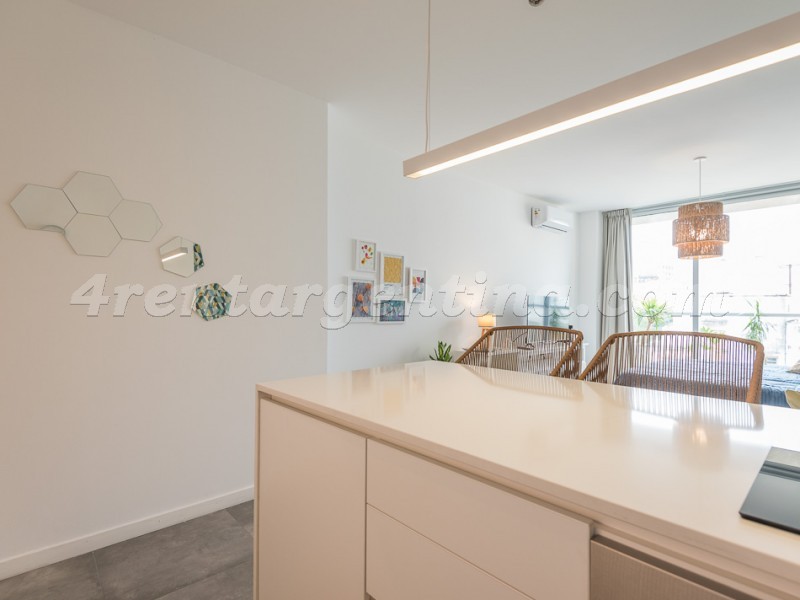 Darregueyra e Guemes III