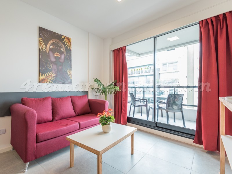 Scalabrini Ortiz and El Salvador XII