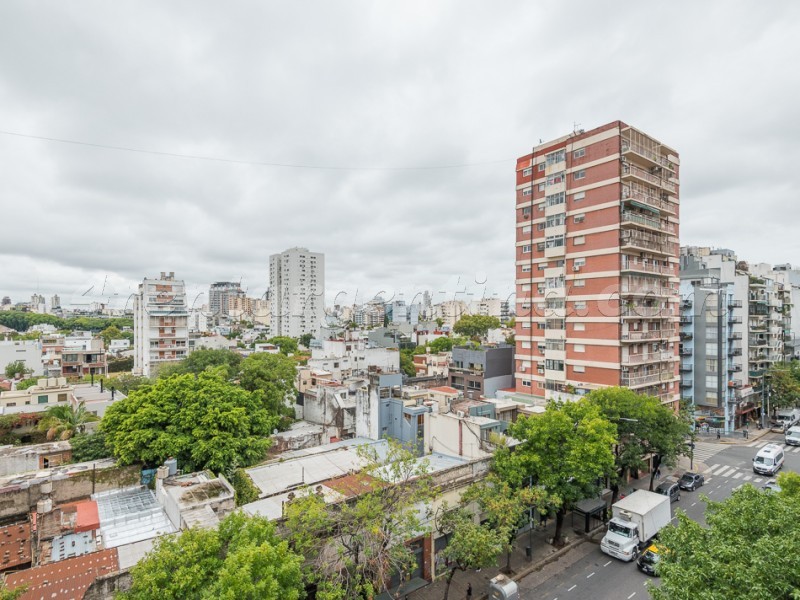 Scalabrini Ortiz and El Salvador XII