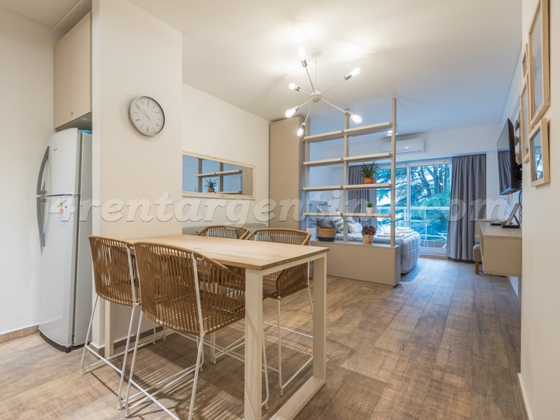 Laprida et Paraguay III