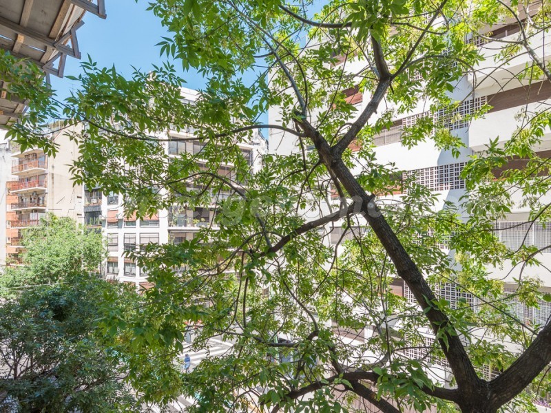 Billinghurst e Soler II