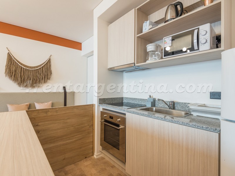 Paraguay et Larrea IV