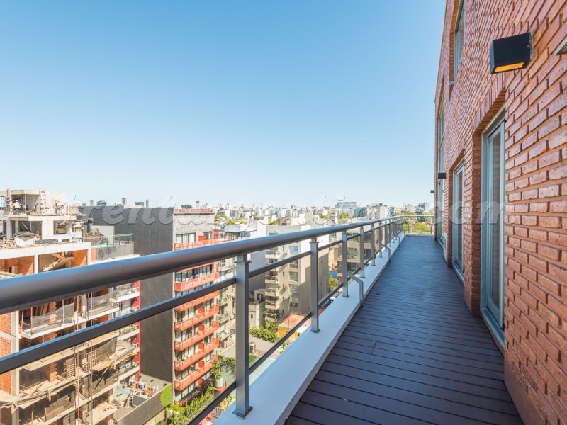 Humboldt et Nicaragua II