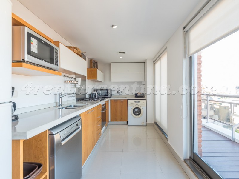 Humboldt et Nicaragua II