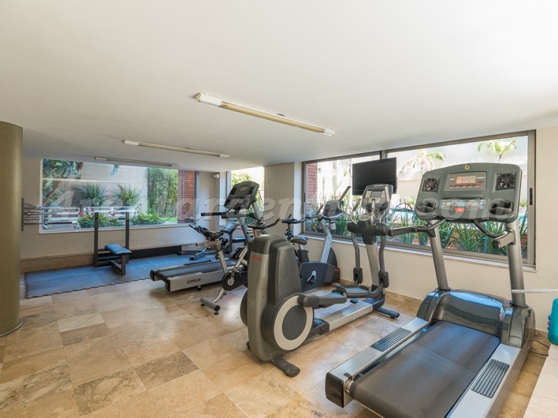 Humboldt et Nicaragua II