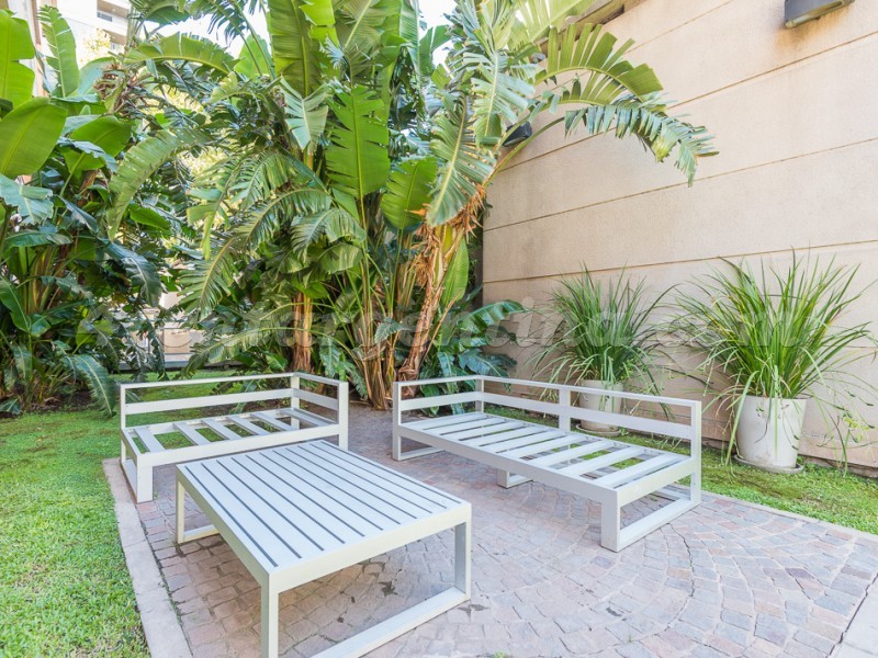 Humboldt et Nicaragua II