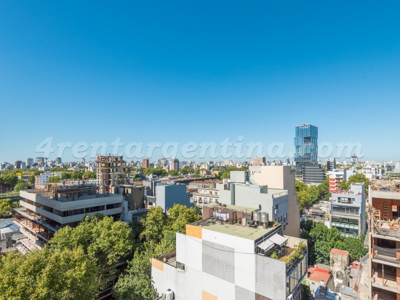 Humboldt et Nicaragua II