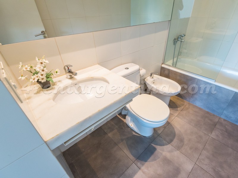 Savio and Santos Dumont