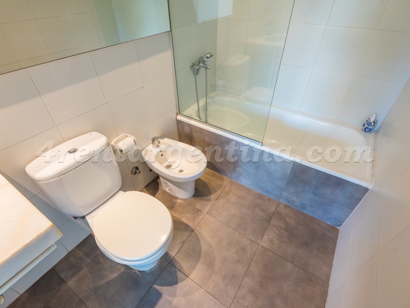 Savio and Santos Dumont