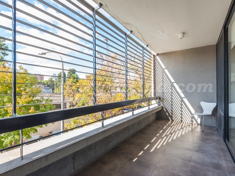 Savio and Santos Dumont