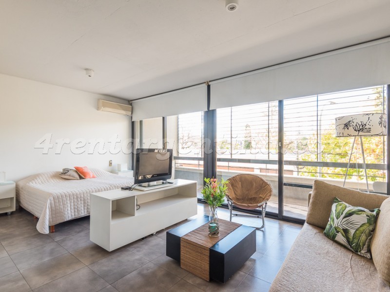 Savio and Santos Dumont