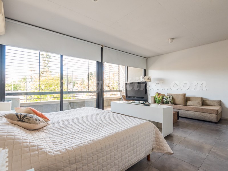 Savio and Santos Dumont