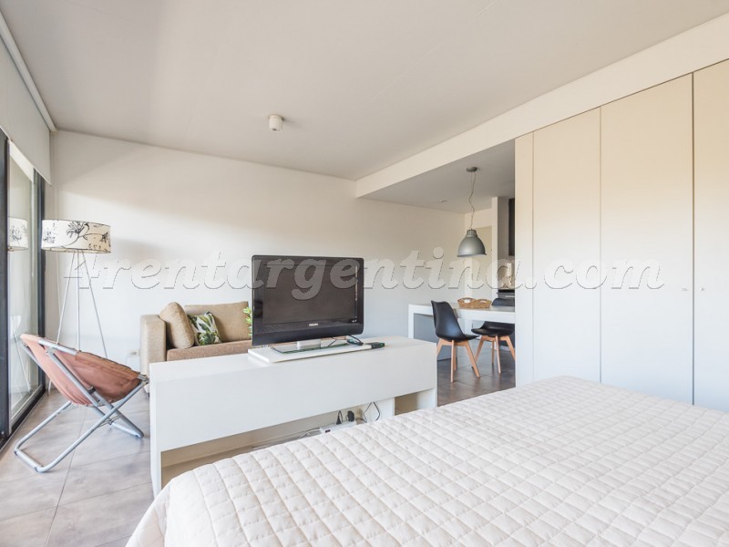 Savio and Santos Dumont