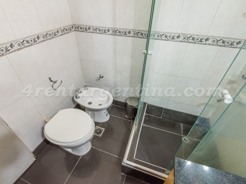 Suipacha y M.T. Alvear IV