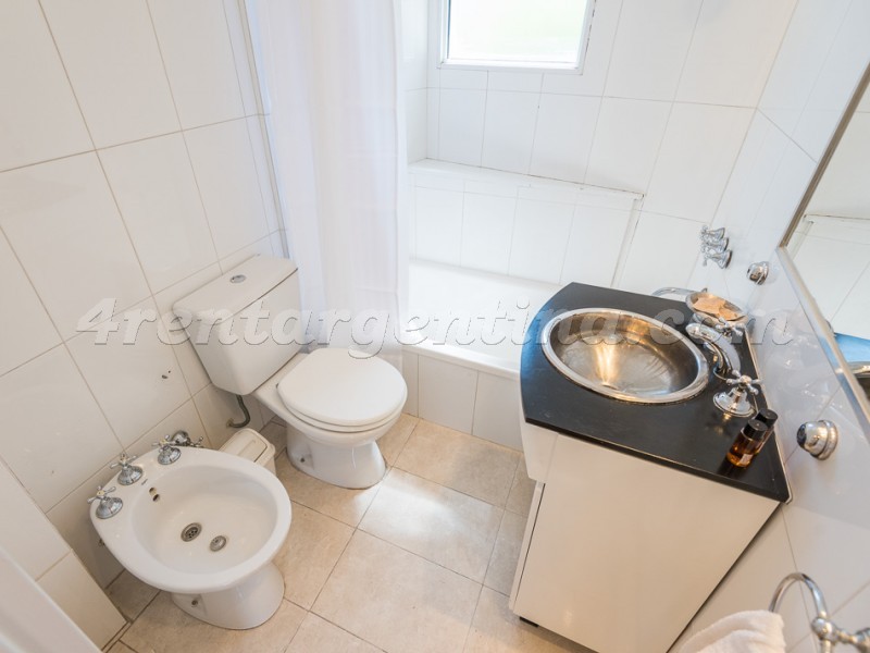 Arenales y Bulnes IV