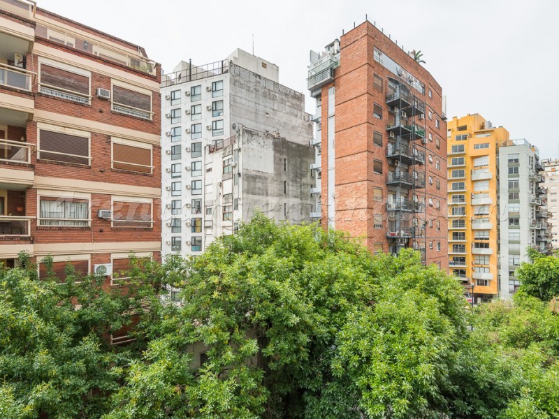 Olazabal and Conesa II