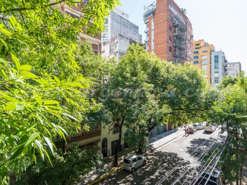 Olazabal and Conesa III