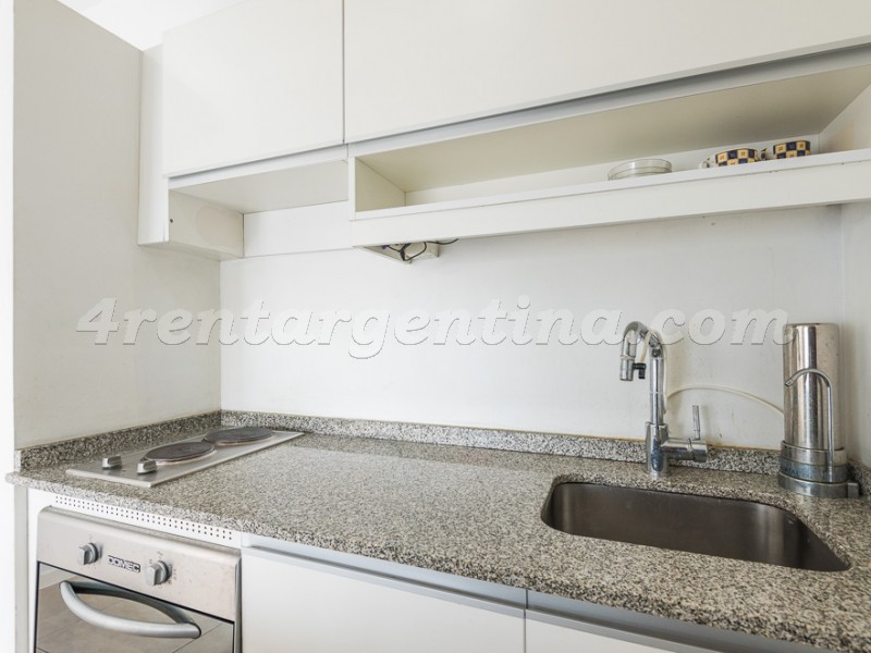 Niceto Vega y Bonpland II