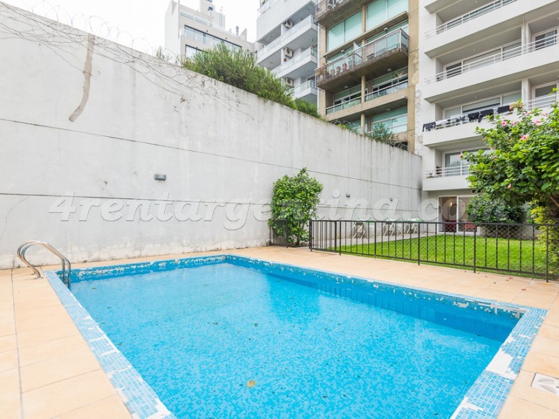 Niceto Vega y Bonpland II