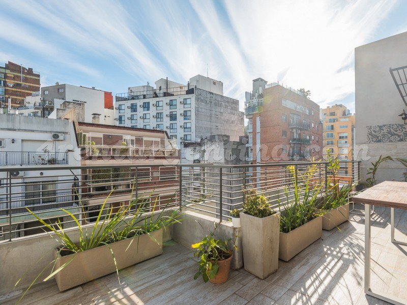 Olazabal and Conesa VI