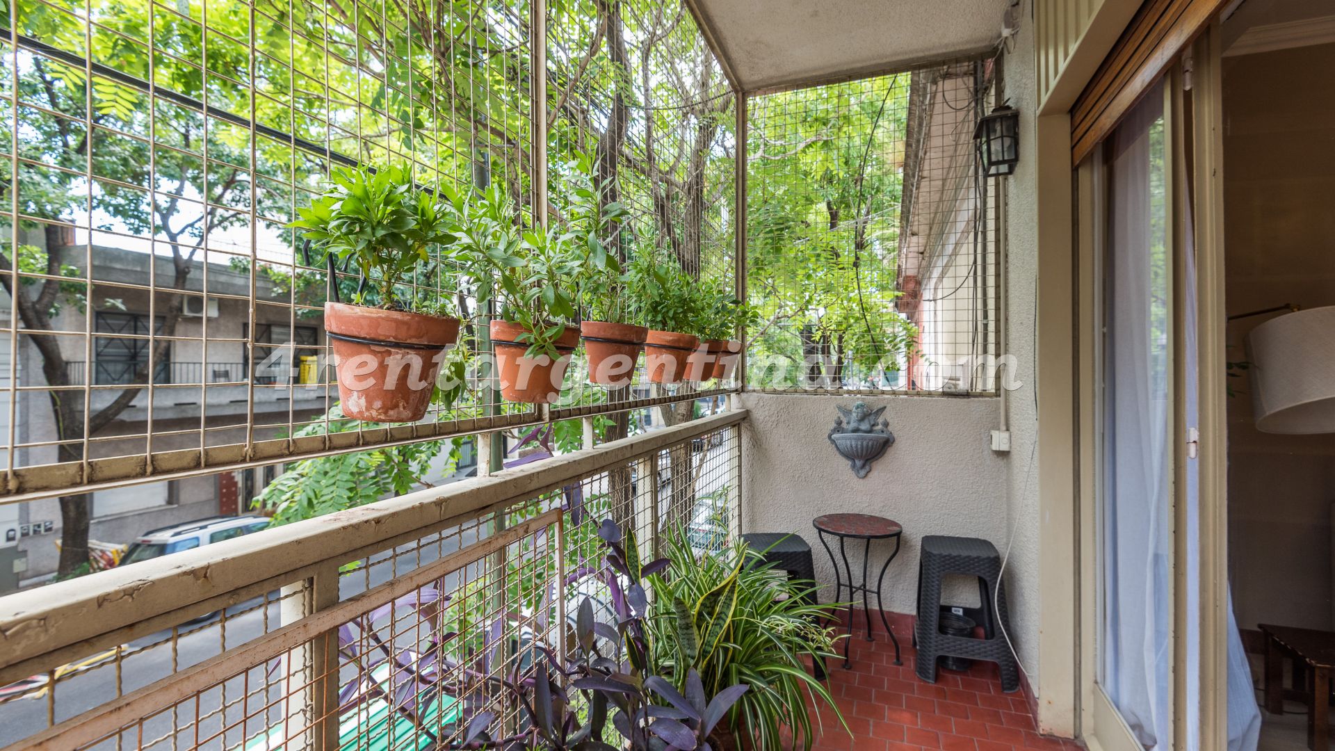 Olleros and Zapiola I