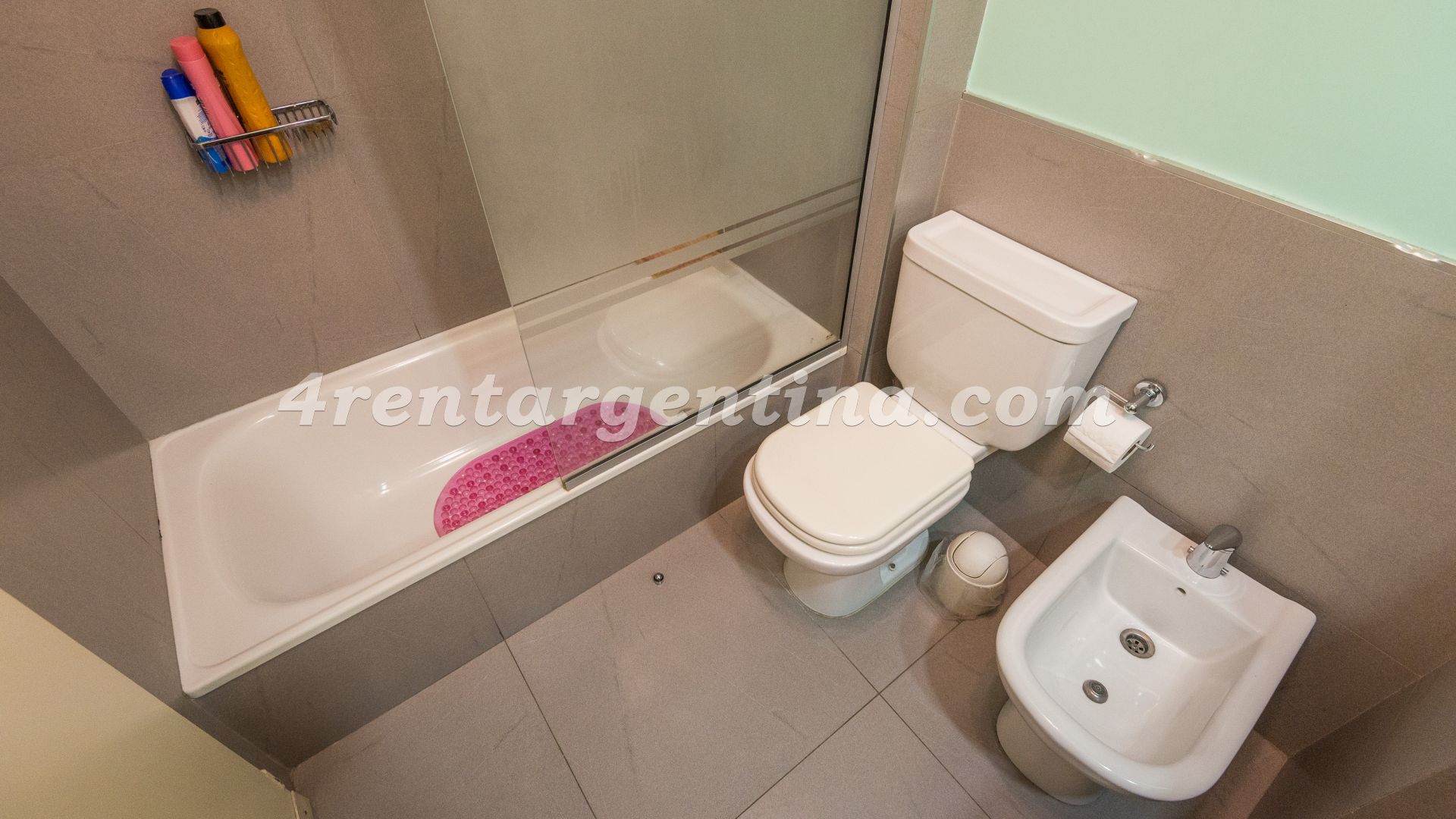 Niceto Vega y Carranza