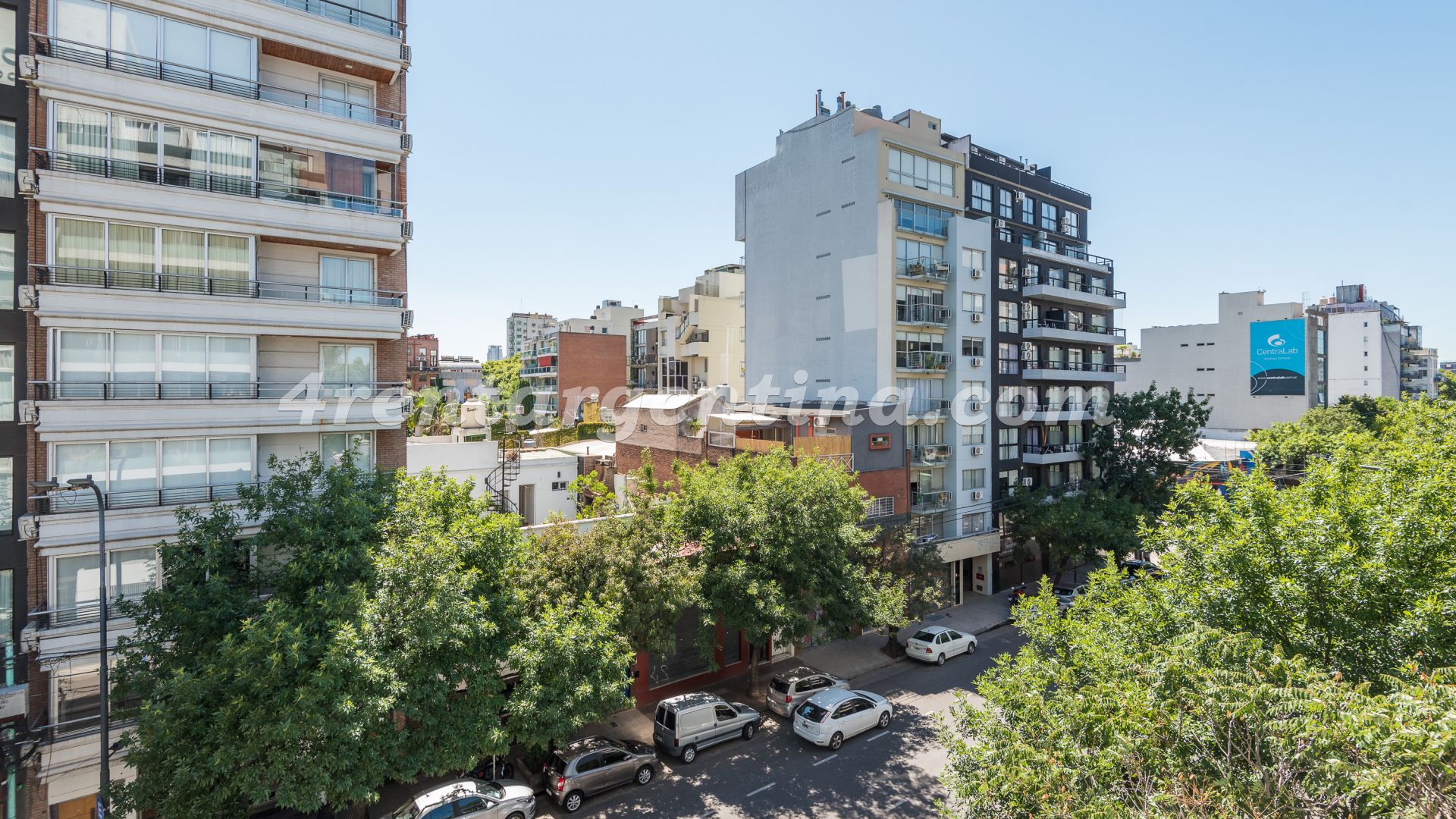 Niceto Vega y Carranza