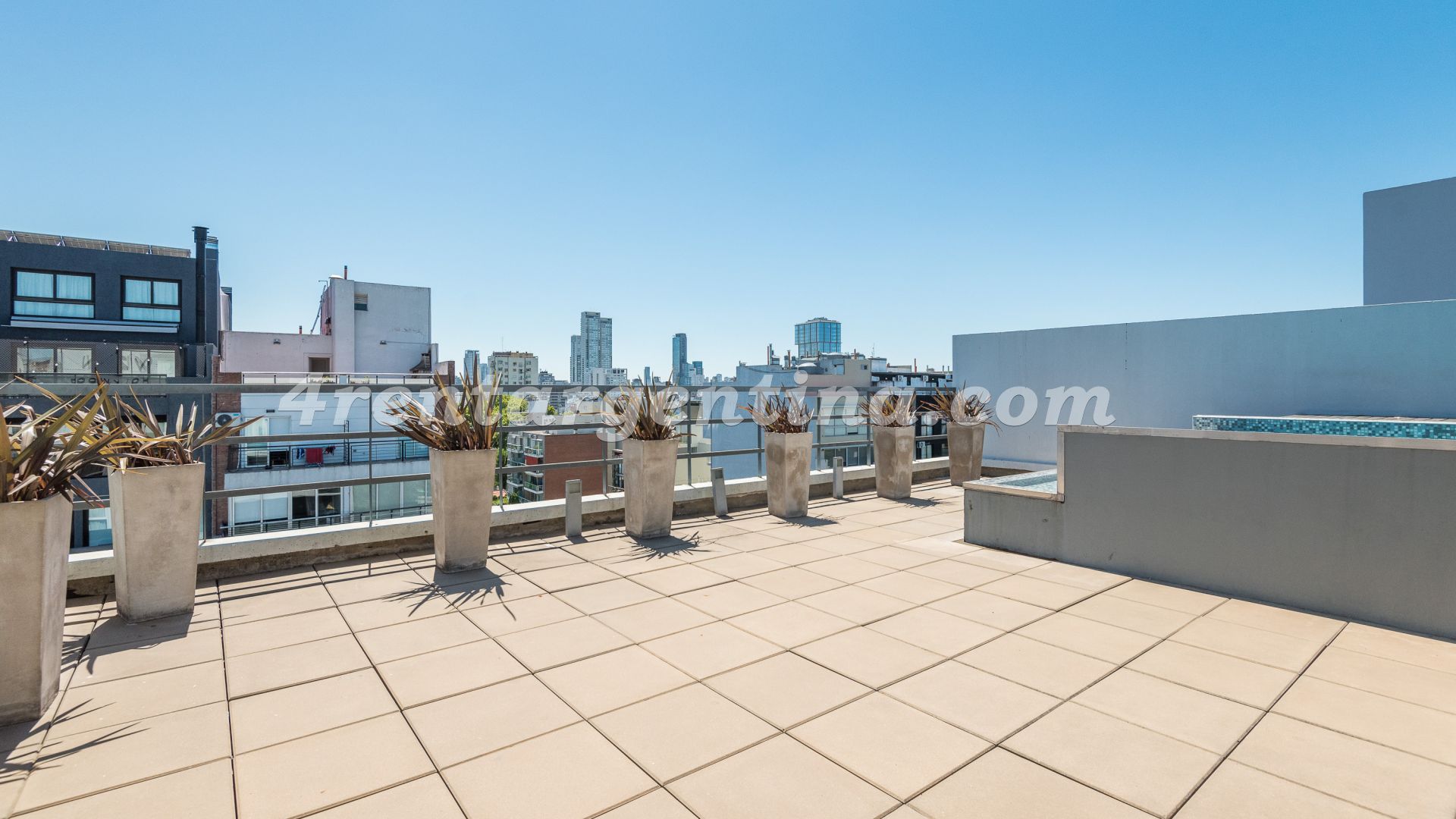 Niceto Vega y Carranza