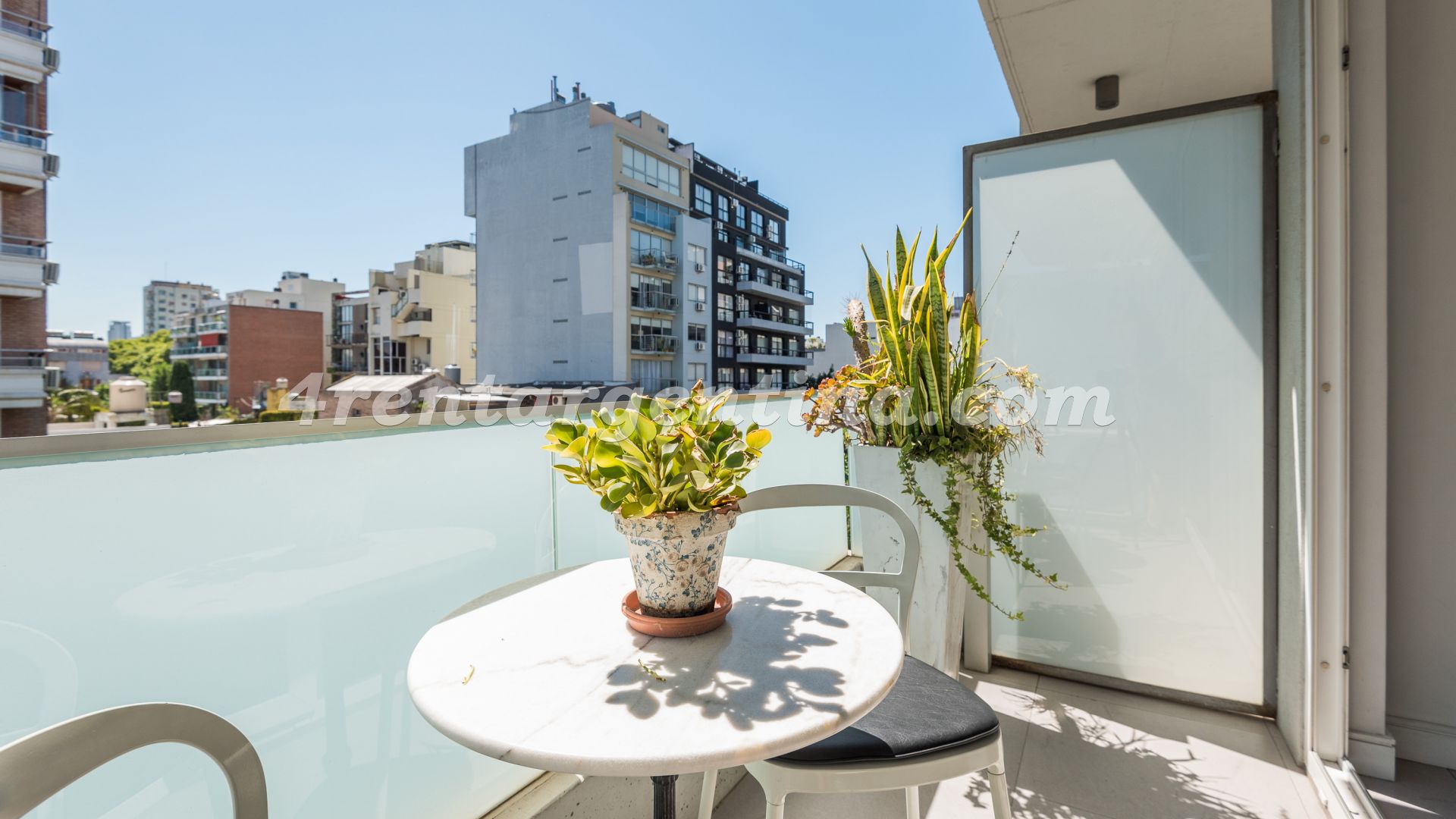 Niceto Vega y Carranza