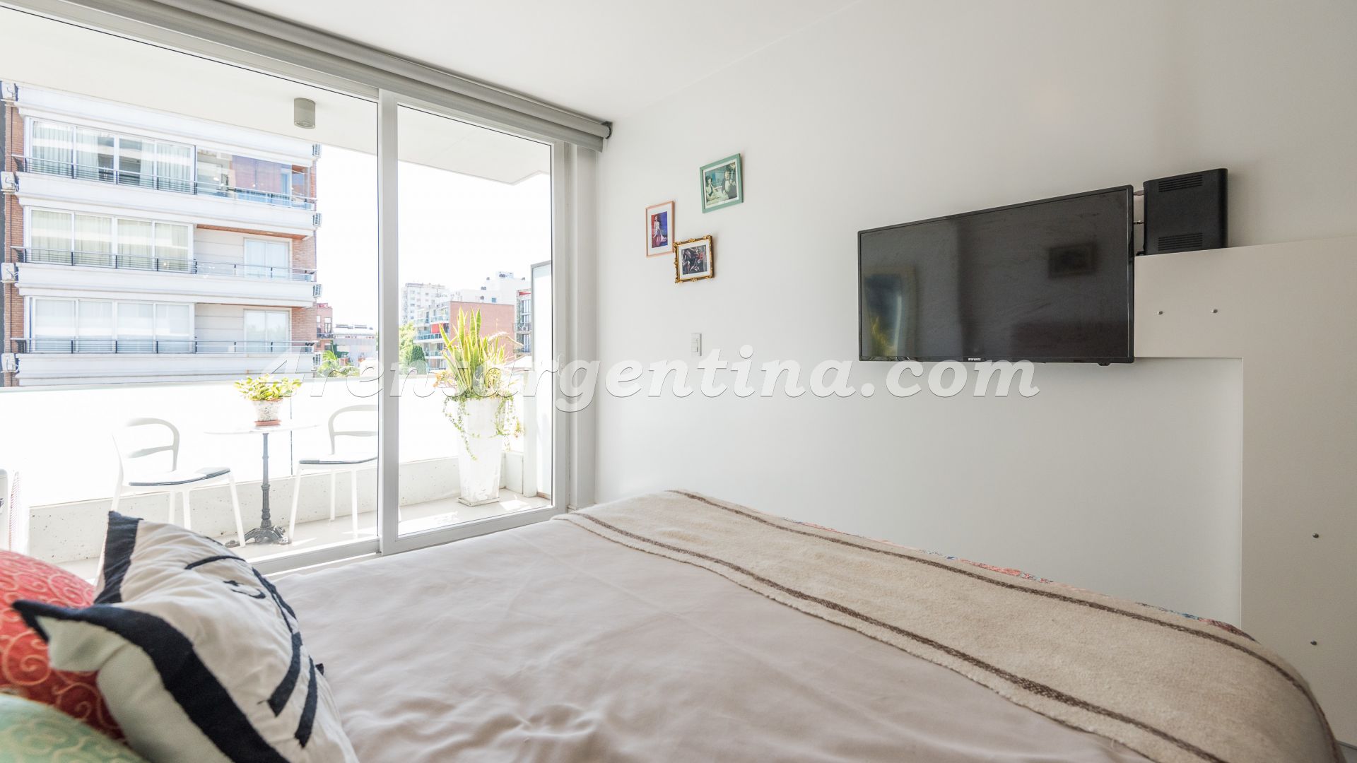 Niceto Vega y Carranza