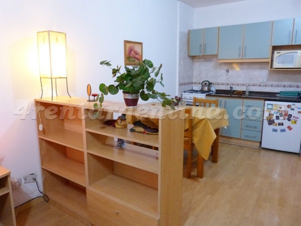 Cabrera et Bulnes II: Apartment for rent in Buenos Aires