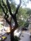 Honduras et Bulnes I: Apartment for rent in Buenos Aires