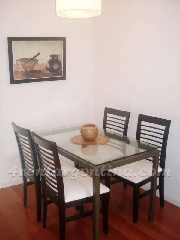 Cossettini et Azucena Villaflor II: Furnished apartment in Puerto Madero