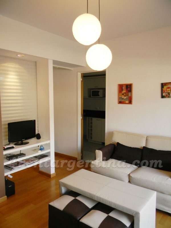Manso and Pe�aloza: Furnished apartment in Puerto Madero