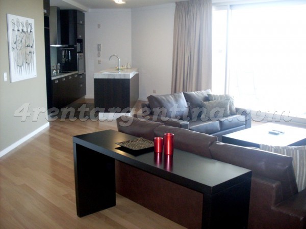 Manso and Alvear Pacini: Apartment for rent in Puerto Madero