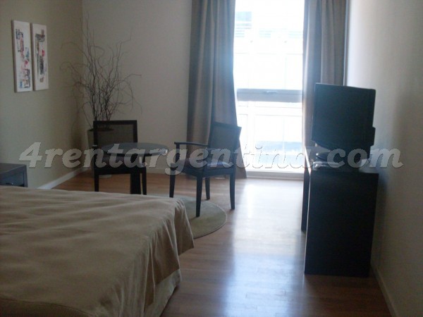 Manso and Alvear Pacini III: Furnished apartment in Puerto Madero