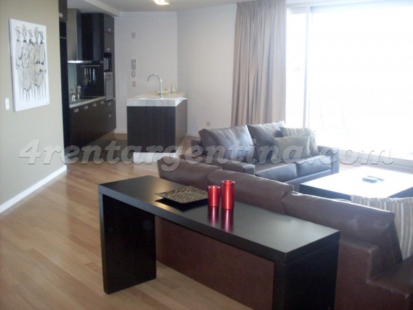 Manso and Alvear Pacini V: Furnished apartment in Puerto Madero