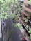 Flat Rental in Recoleta