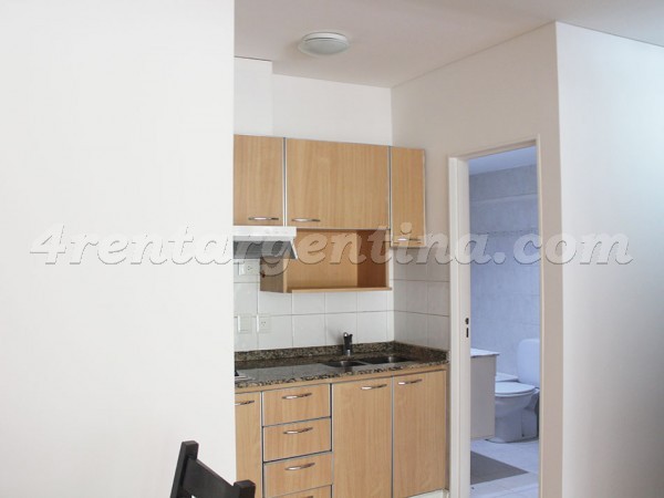 Departamento Amoblado en Godoy Cruz y Cervio VII, Palermo