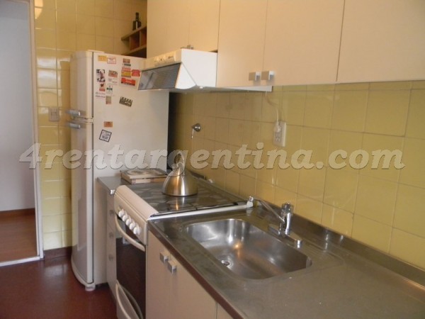 Apartment Coronel Diaz and Mansilla - 4rentargentina