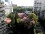 Apartamento en Recoleta