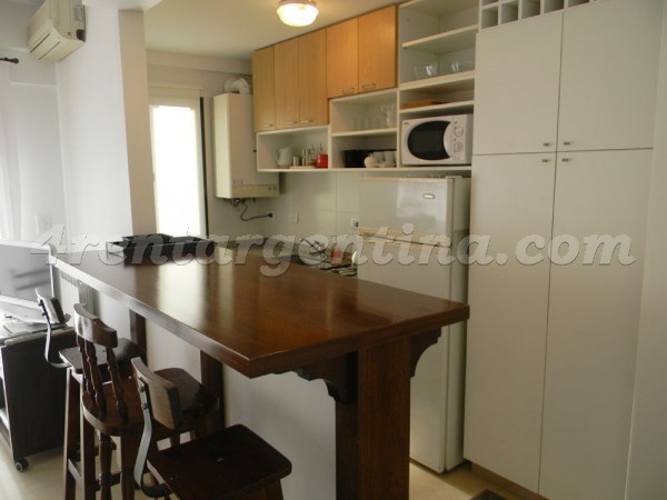 Gurruchaga and Charcas IV, apartment fully equipped