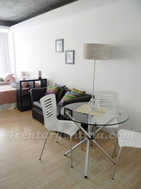 Laprida and Juncal VIII, apartment fully equipped
