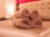 Flat Rental in Recoleta