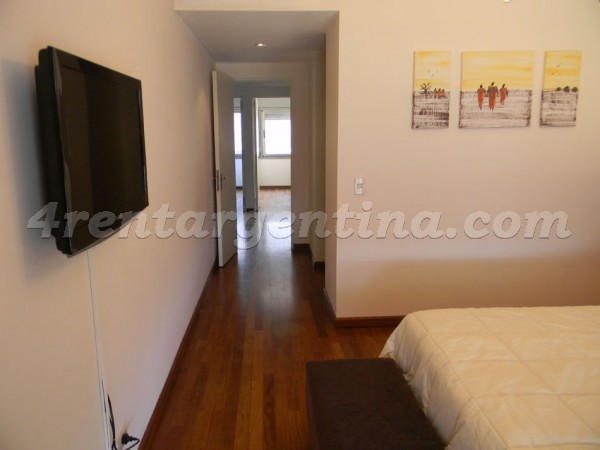 Apartamento Amoblado en Manso y Ezcurra V, Puerto Madero