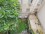 Apartment in Recoleta