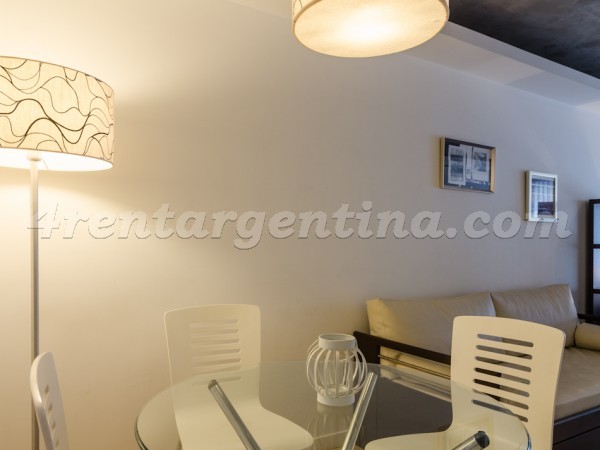 Laprida and Juncal XIII, apartment fully equipped